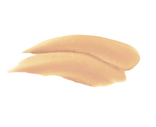 Load image into Gallery viewer, TiZO3 SPF 40 - Tinted Facial Primer/Sunscreen