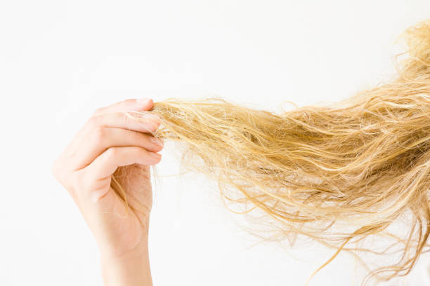 Damage Repair