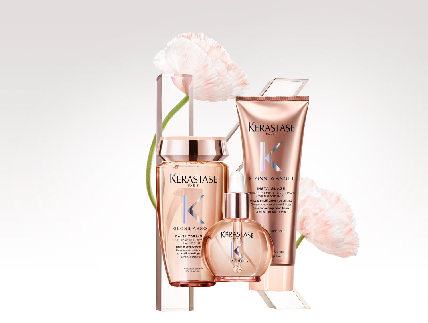 Gloss Absolu