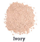 iS Clinical PerfecTint Powder SPF40