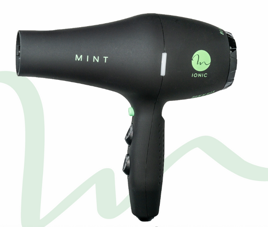 Mint Blackbird Blowdryer