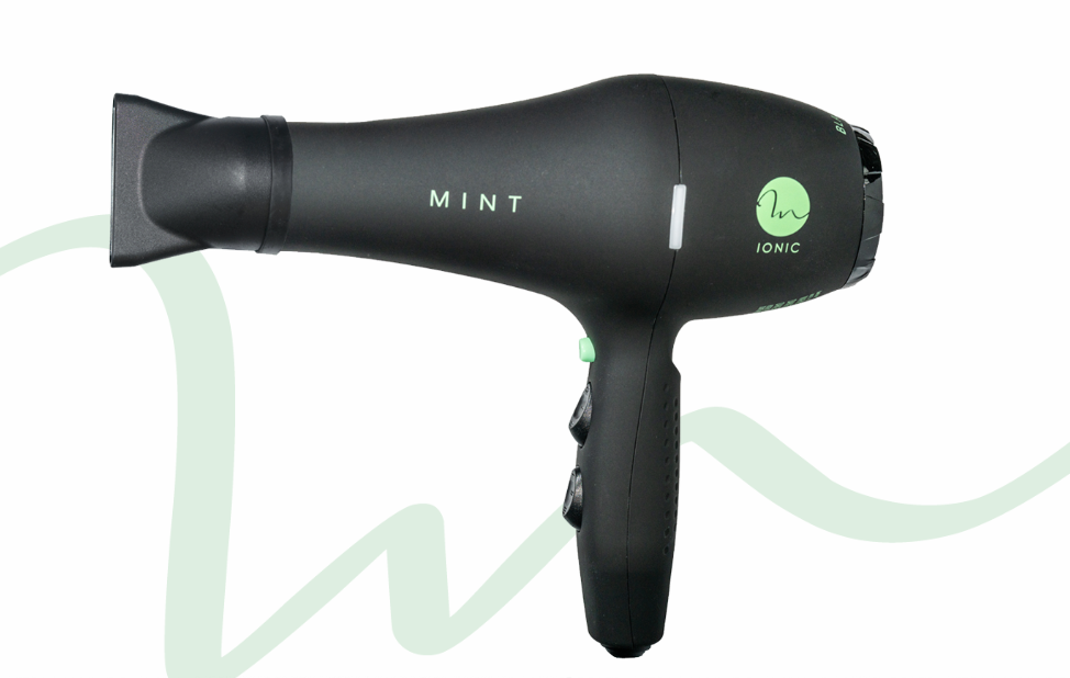Mint Blackbird Blowdryer