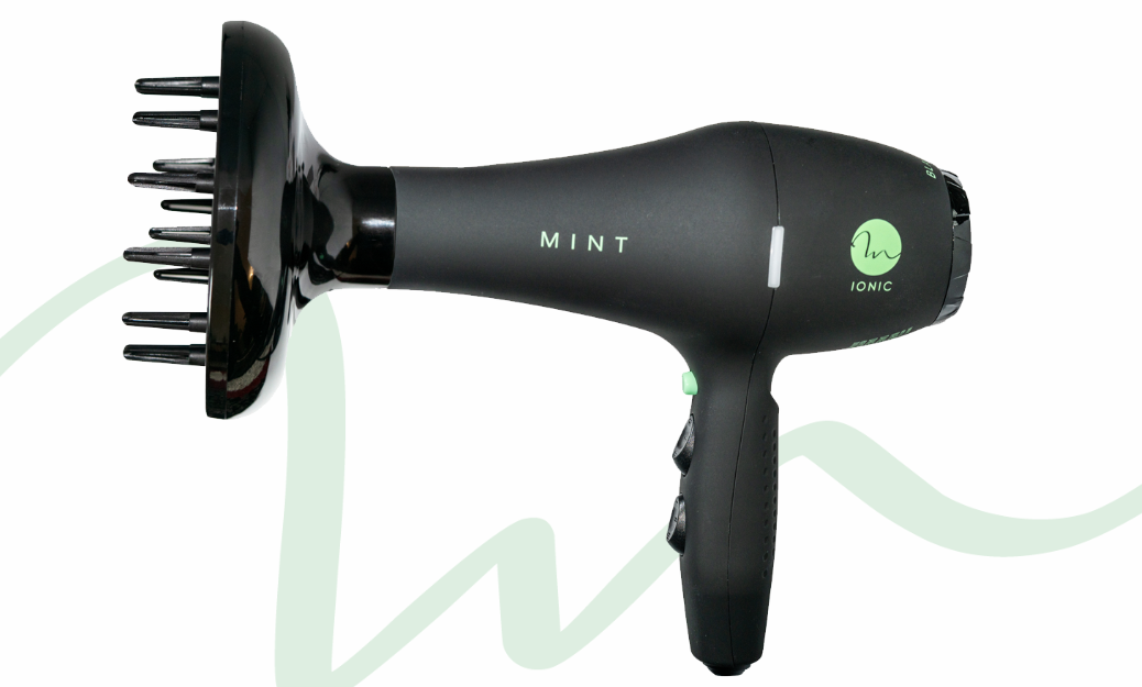 Mint Blackbird Blowdryer