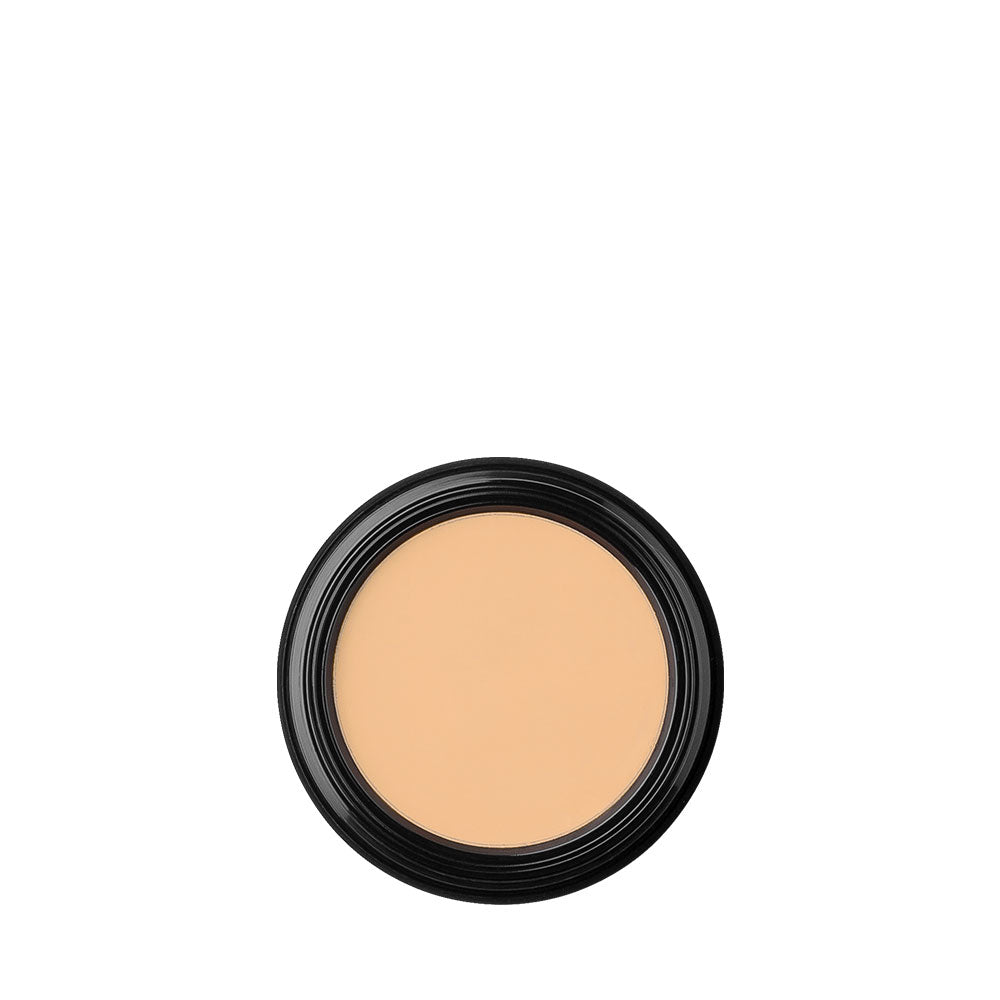 Oil Free Camouflage Concealer